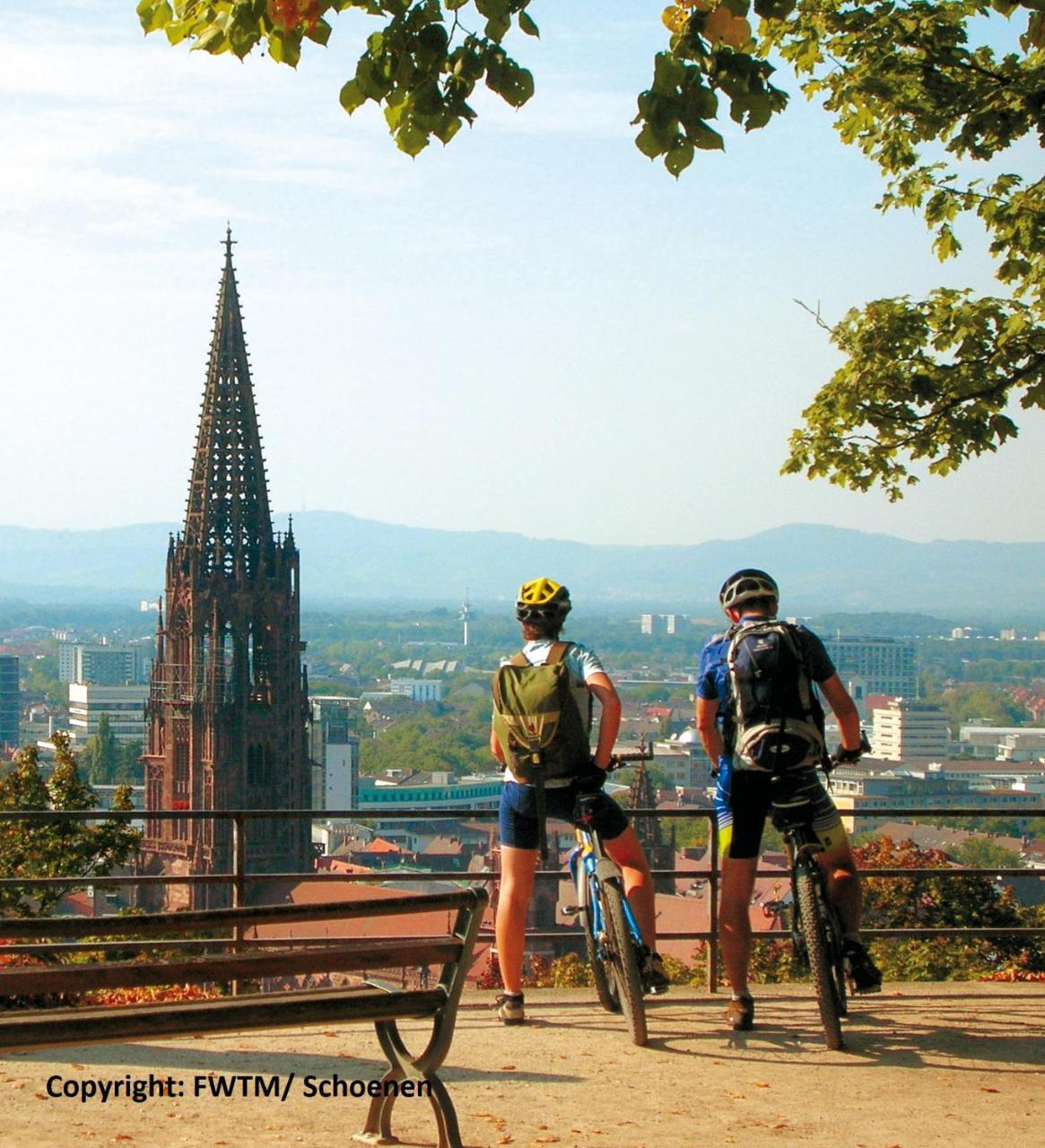 Invite Hotel Loewen Freiburg ภายนอก รูปภาพ